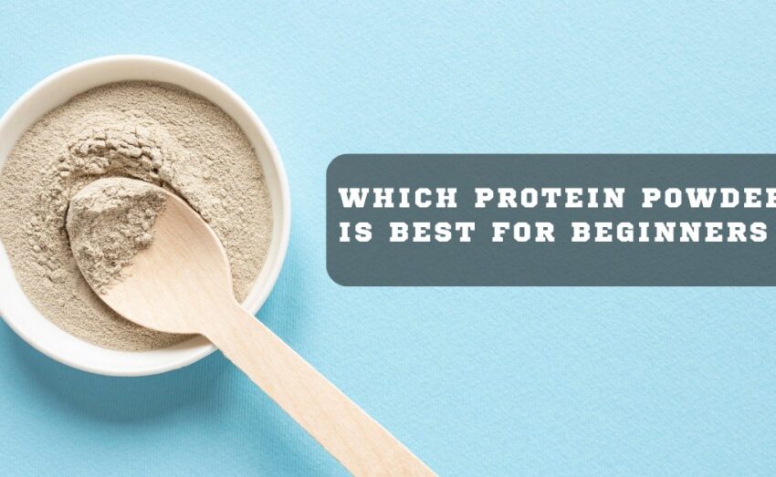 Which Protein Powder Is Best For Beginners Clicko Health